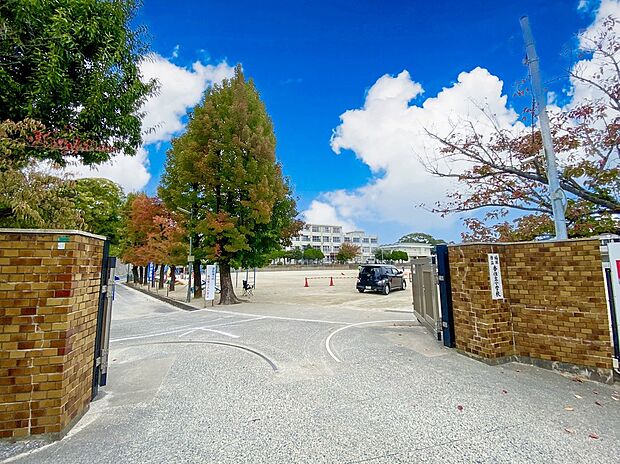 福岡市立香住丘小学校（約98m）