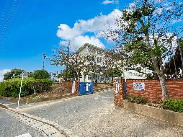 福岡市立青葉小学校(約1,100m)