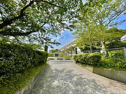 筑紫野市立阿志岐小学校 2038ｍ
