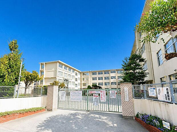 福岡市立石丸小学校（約800m）