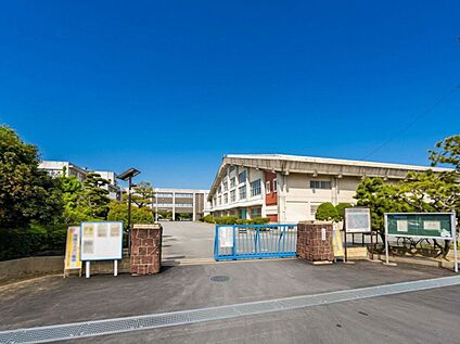 佐賀市立昭栄中学校 496ｍ