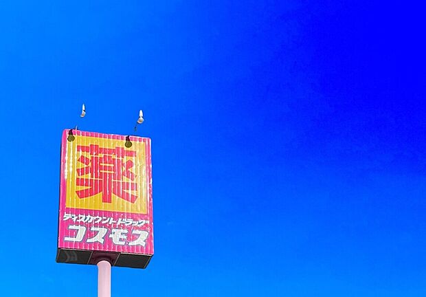 ディスカウントドラッグコスモス堀池店(約550m)