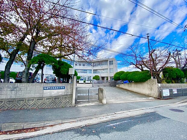 粕屋町立粕屋西小学校(約850m)