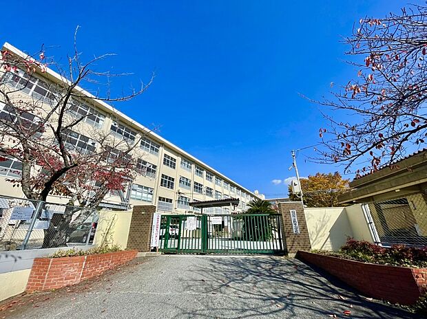 福岡市立鶴田小学校(約781m)