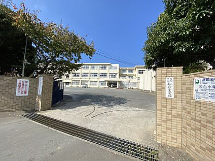福岡市立和白小学校 1600m