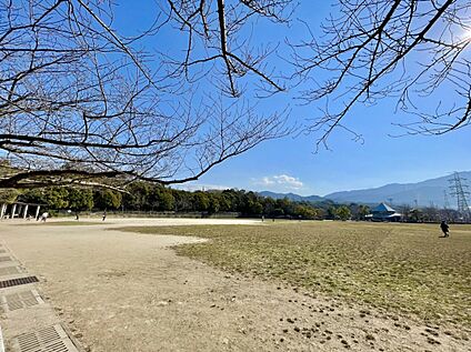 桧原運動公園  1129m