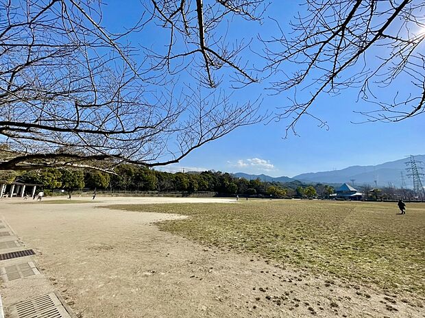 桧原運動公園 （約1,129m）