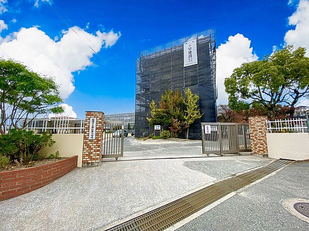 福岡市立舞松原小学校(約84m)