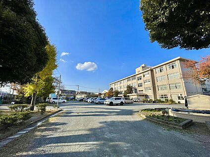 福岡市立西花畑小学校 1000m