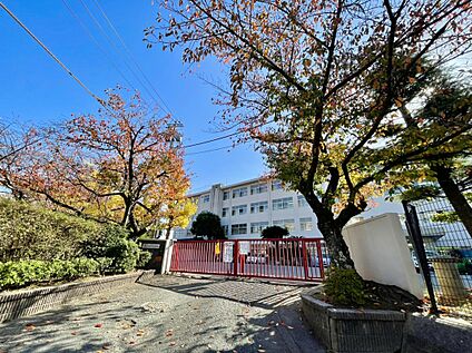 福岡市立筑紫丘中学校 1600m
