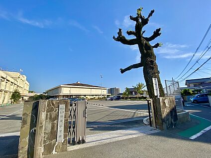 福津市立福間小学校 700ｍ