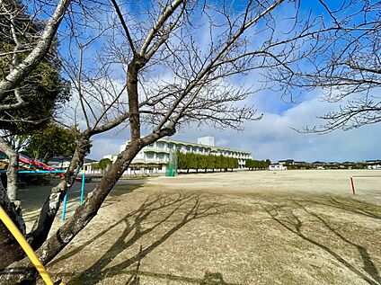 鳥栖市立若葉小学校 870m