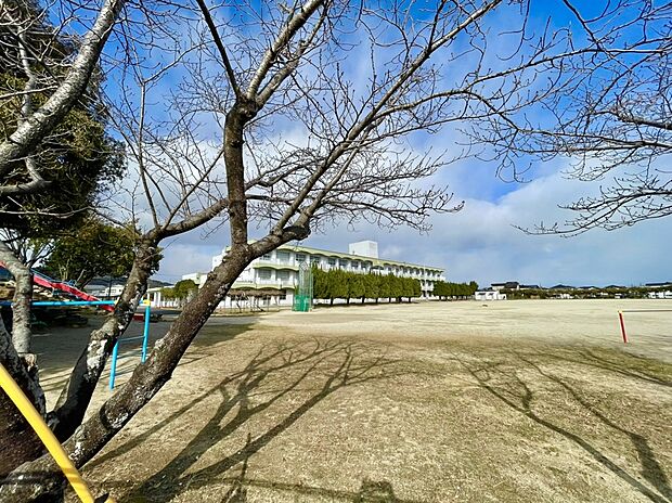 鳥栖市立若葉小学校(約870m)