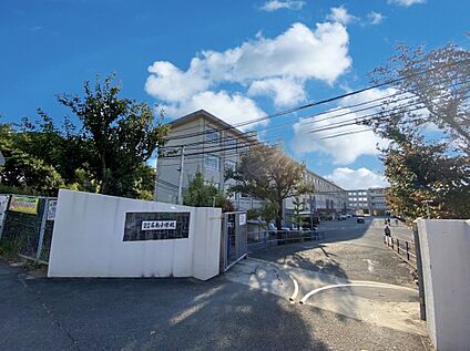 福岡市立名島小学校 1000ｍ