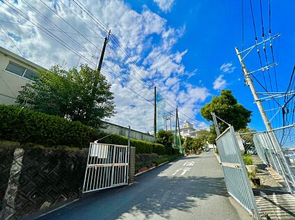福岡市立花畑中学校 745m