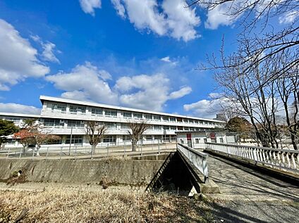 鳥栖市立鳥栖小学校 919ｍ