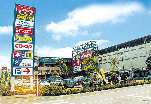 ショップス（約1m）