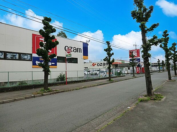 オザム 東所沢店（約900m・徒歩12分）