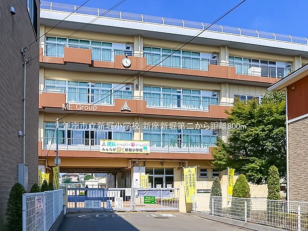 新座市立新堀小学校(約800m・徒歩10分)