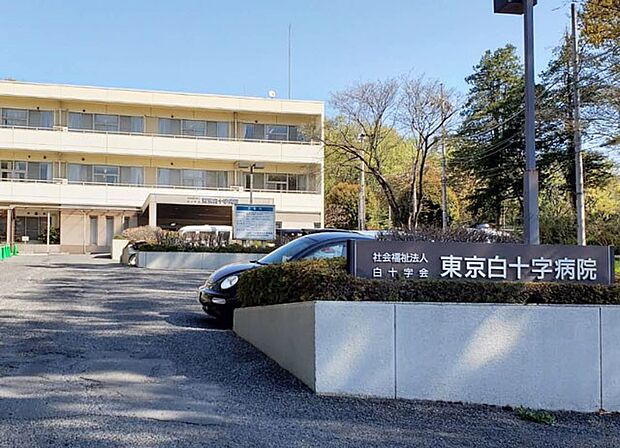 東京白十字病院(約400m)