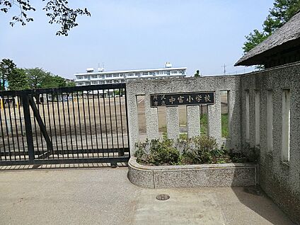 所沢市立中富小学校 1000m(13分)