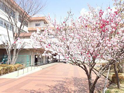 川崎市立長尾小学校 400ｍ