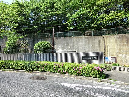川崎市立南菅中学校 1300ｍ