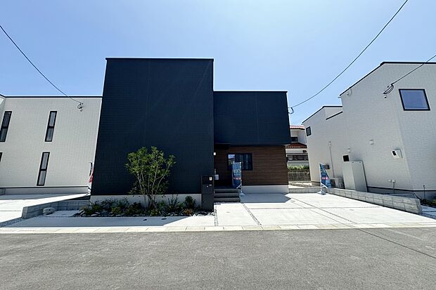 【2号地】(6月撮影)