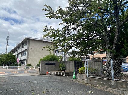 春日市立春日南小学校 約1300m(徒歩17分)