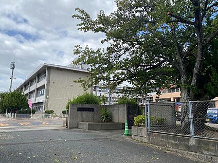 春日市立春日南小学校 約1300m(徒歩17分)