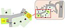 熊本県上益城郡御船町大字木倉：物件画像