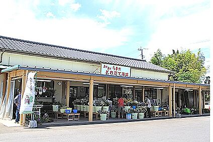 よかよかうまかとれたて市場嘉島店 徒歩1350m