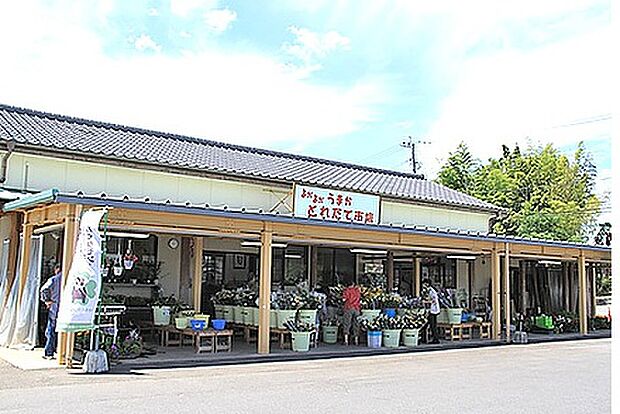よかよかうまかとれたて市場嘉島店