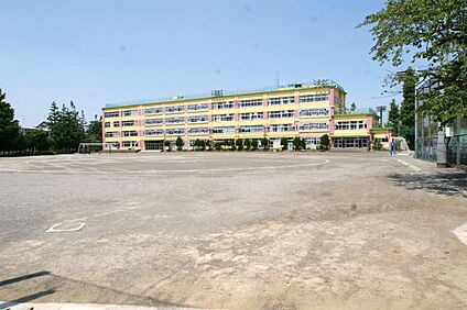 杉並区立向陽中学校 約850m(徒歩11分)