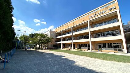 杉並区立荻窪小学校 約570m(徒歩8分)