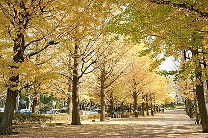 城北中央公園 約320ｍ(徒歩4分)