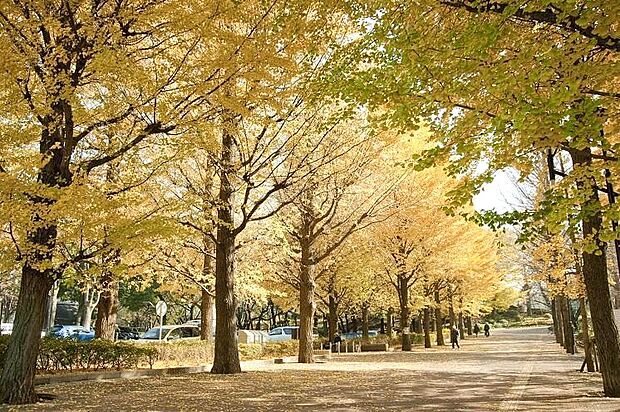 城北中央公園
