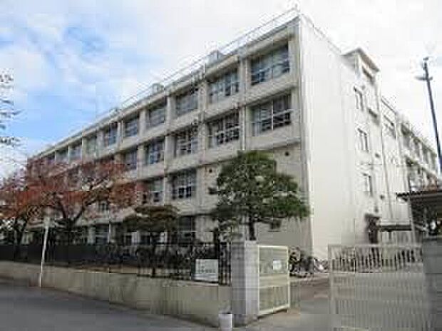 井高野中学校
