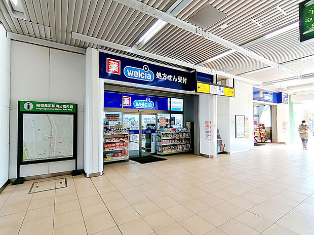 ウエルシア稲城長沼駅店(約595m)