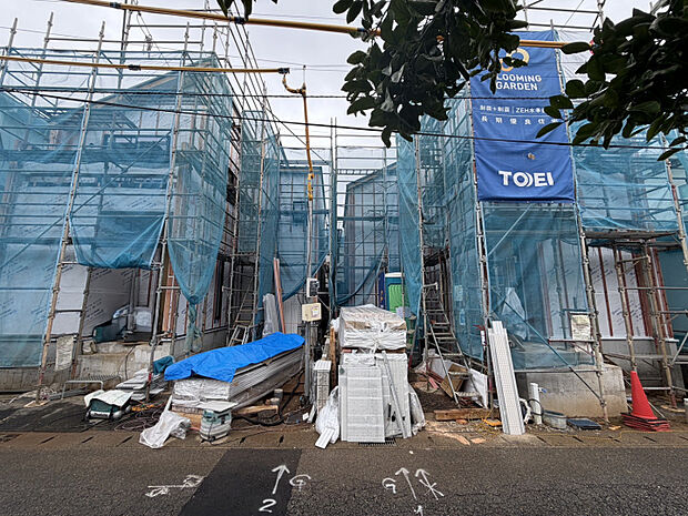 7月中旬撮影