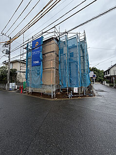 5月中旬撮影