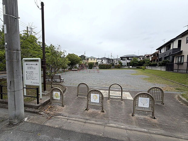 東寺山ひまわり公園(約232m)