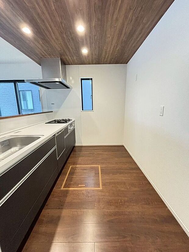 ☆現地【2026年1月】撮影☆