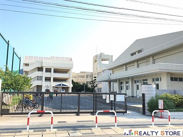 福岡市立玄洋小学校(約700m)