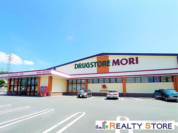 ドラッグストアモリ松橋店(約750m)