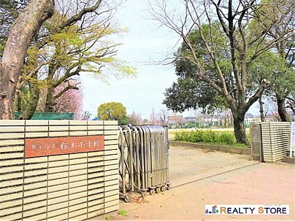 熊本市立桜木小学校 600m