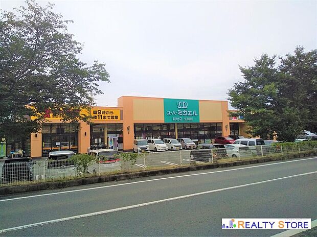 スーパーミカエル新地店(約900m)