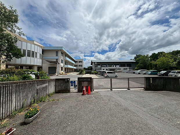 真弓小学校（約1,200m）