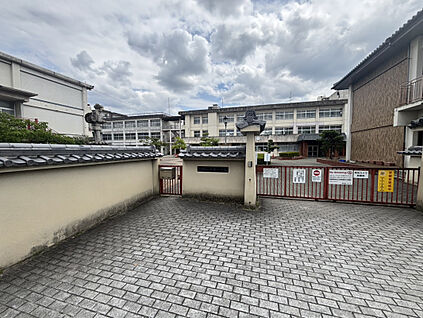 斑鳩小学校 491m