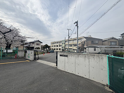 宇治市立神明小学校 500m